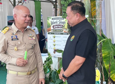 ร่วมต้อนรับรองนายกรัฐมนตรีและรัฐมนตรีฯ พารามิเตอร์รูปภาพ 2